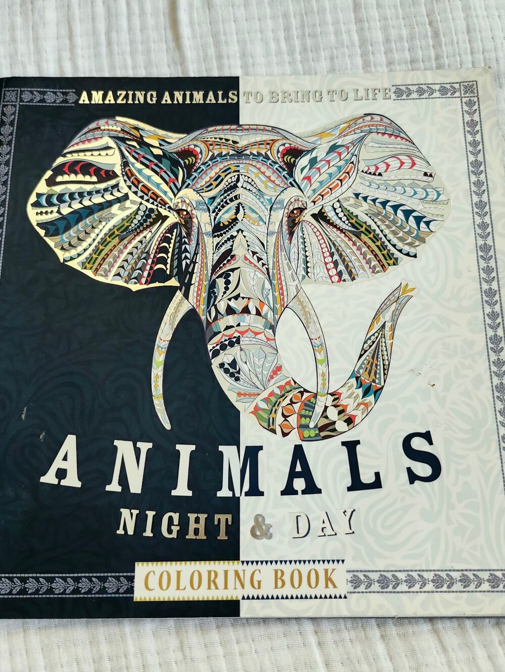 Animals Night & Day Coloring Book